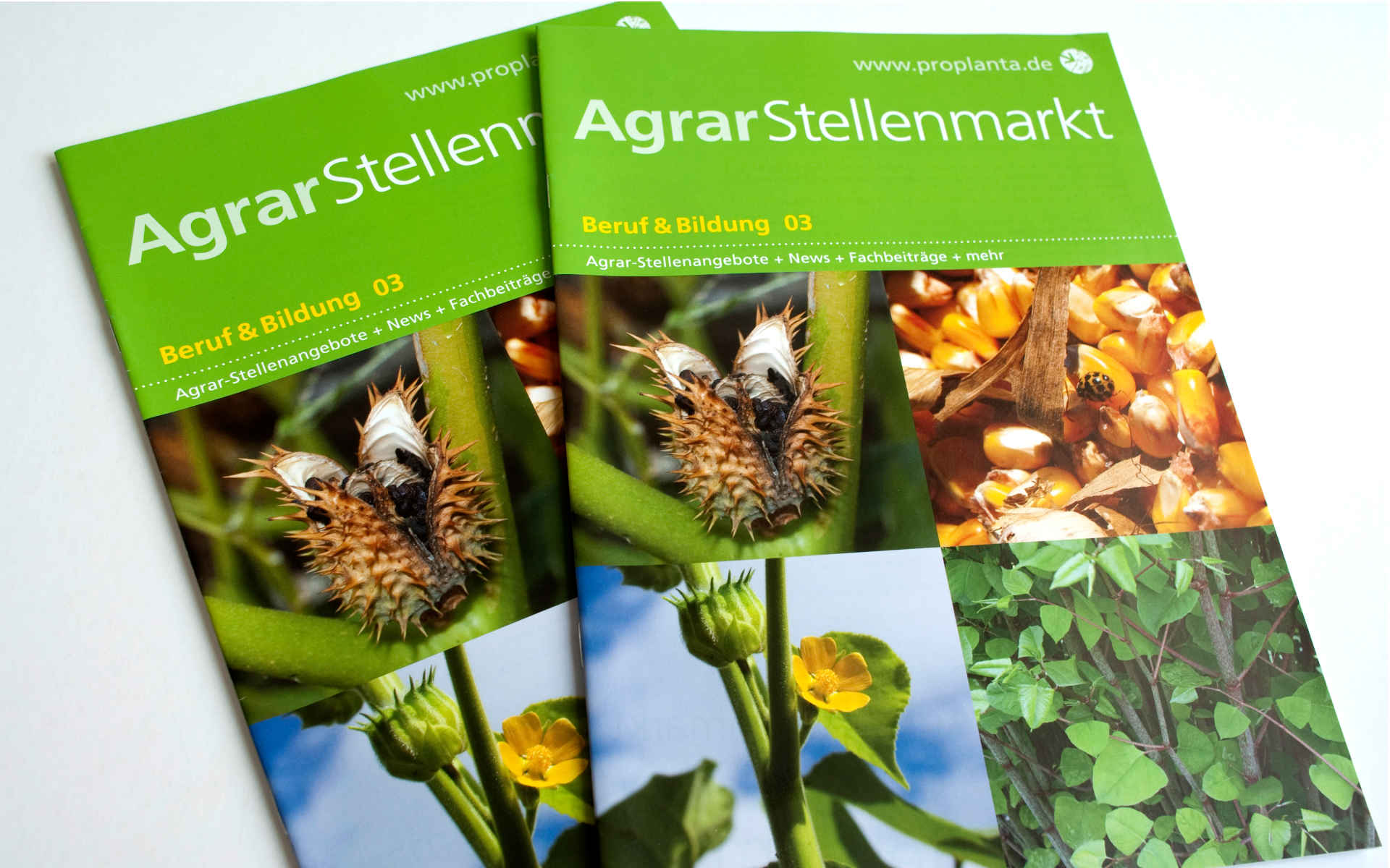 Agrar Stellenmarkt Zeitschriftendesign Berlin
