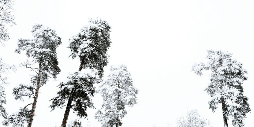 UV2 Urban Visual Design Berlin Buero Grafik Design Gestaltungsbuero