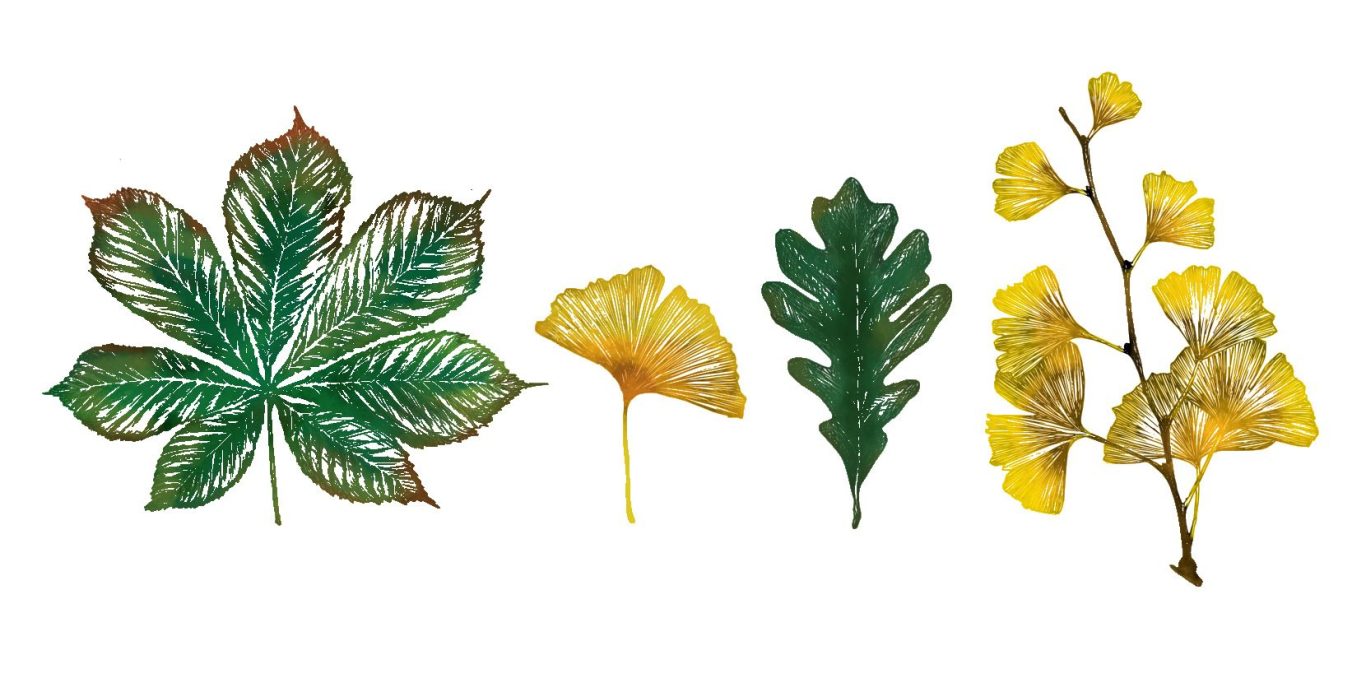 Vielfalt von Blättern in verschiedenen Formen und Farben, grün und gelb gezeichnet.