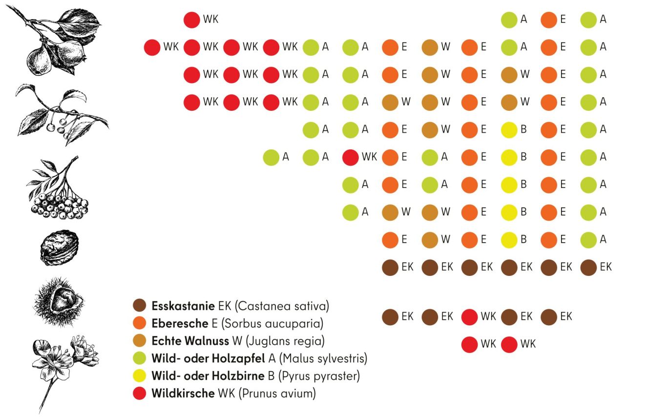 Darstellung Pflanztabelle mit farbigen Punkten und Symbolen für verschiedene Bäume.